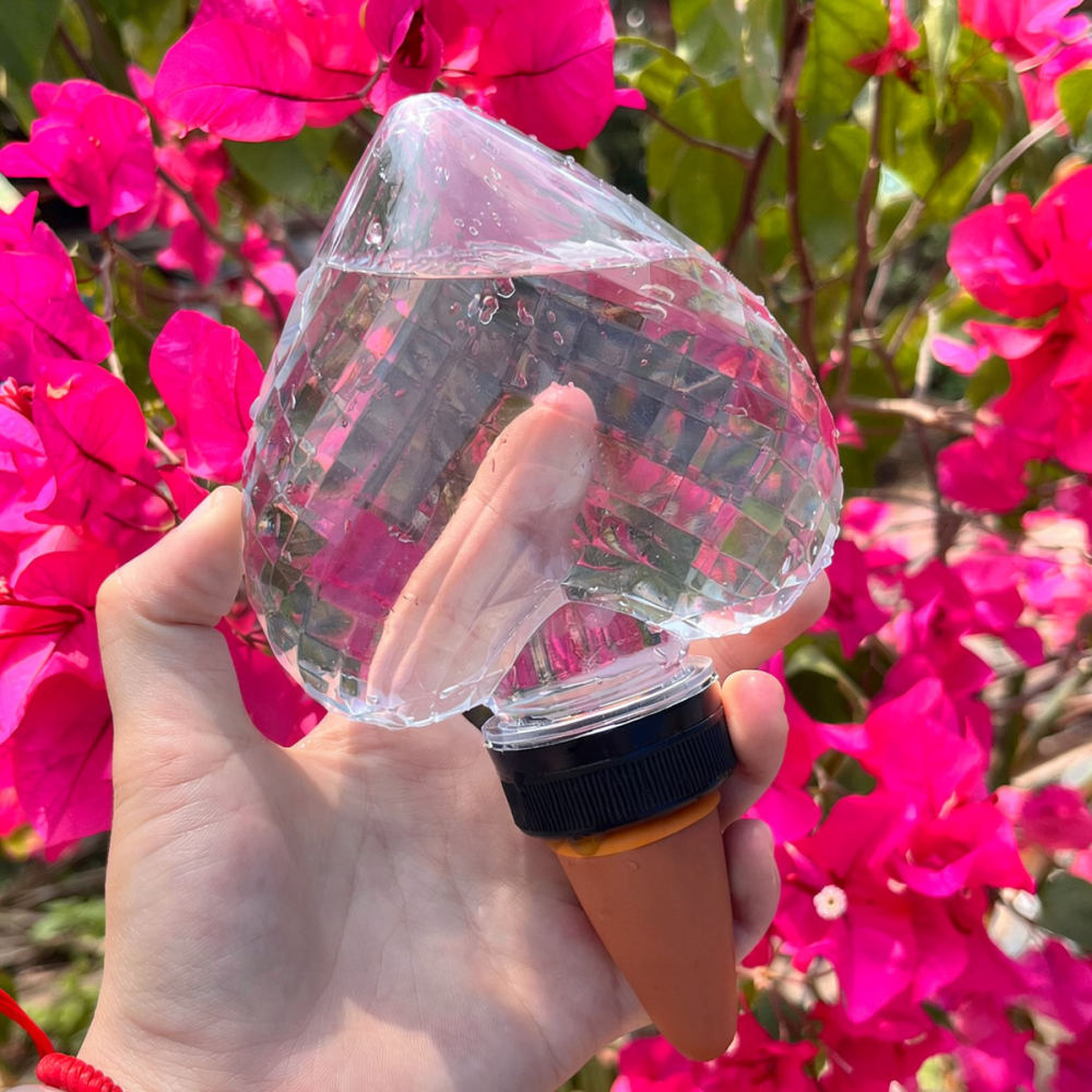 Heart Shaped Automatic Waterin - đánh giá và giá Automatic Plant Waterer