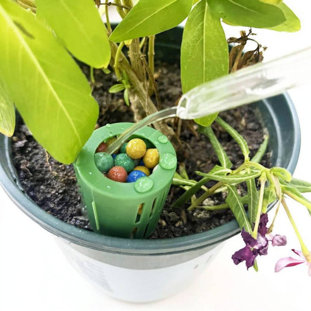 Fertilizer Box For Bonsai Plan - đánh giá và giá Gardening Tools Essential