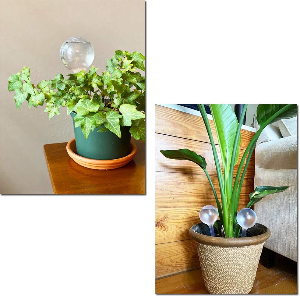 5 Cái Tự Động Vật Có Nước Ăn T - đánh giá và giá Automatic Plant Waterer