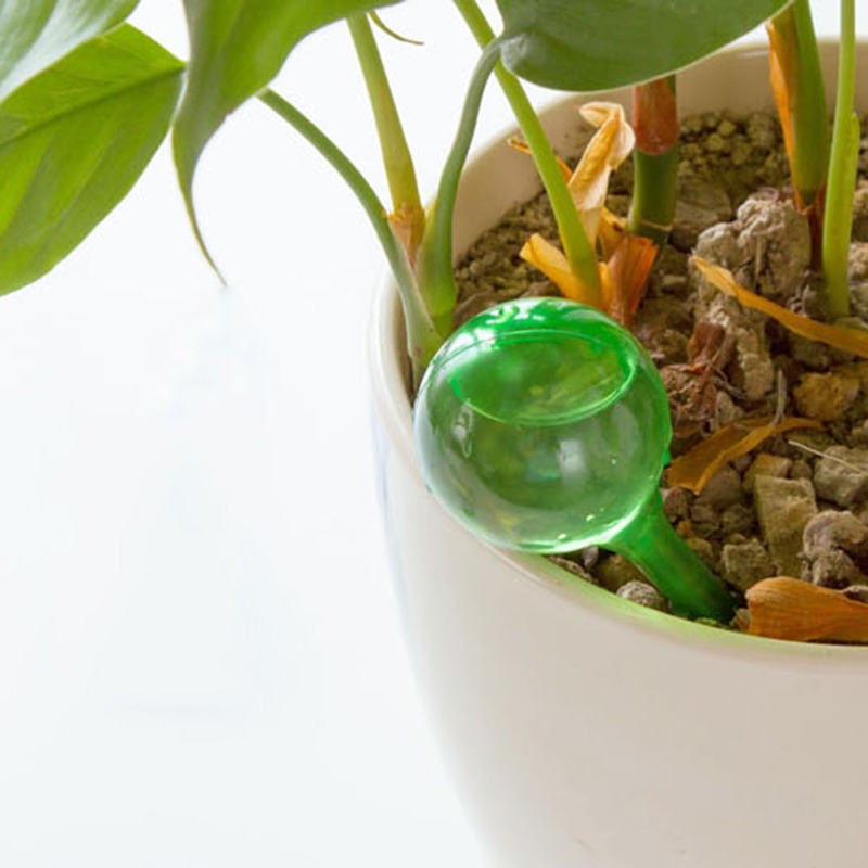 5 Cái Tự Động Vật Có Nước Ăn T - đánh giá và giá Automatic Plant Waterer