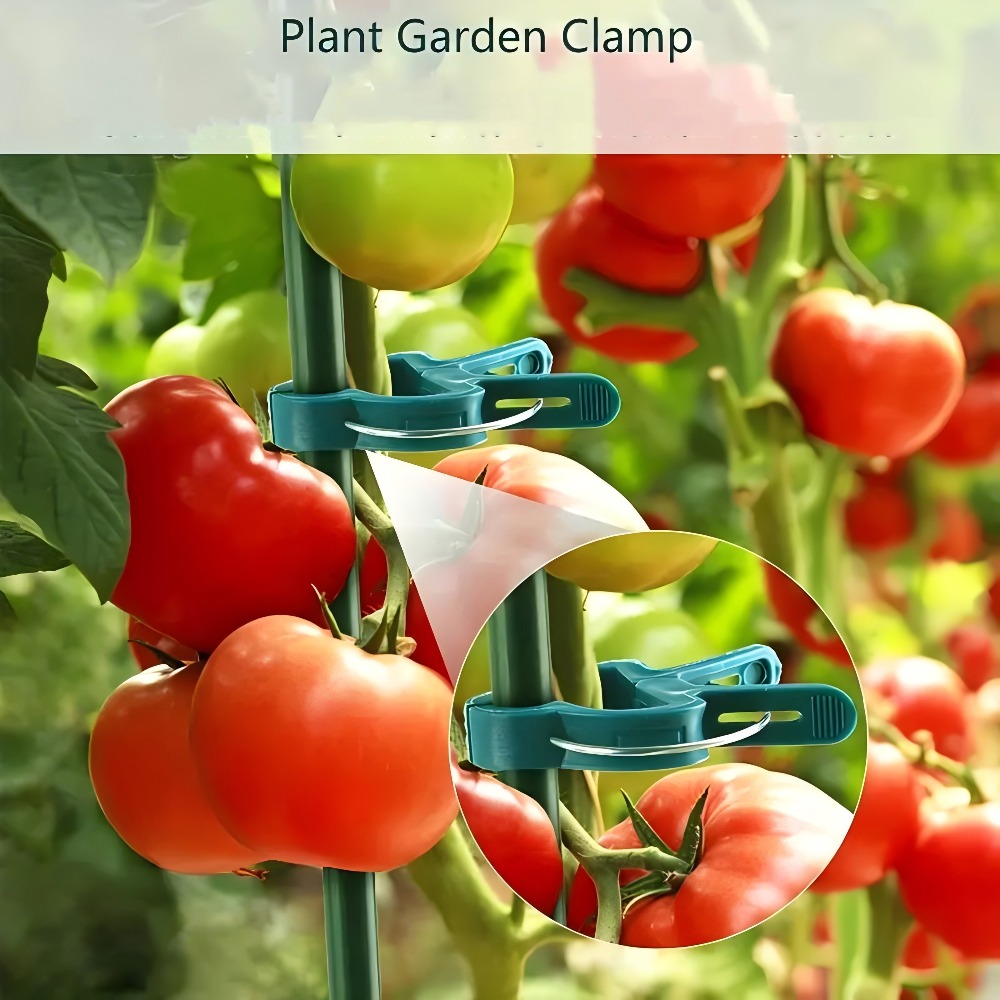 10/30/50pcs Adjustable Plant C - đánh giá và giá Gardening Tools Essential