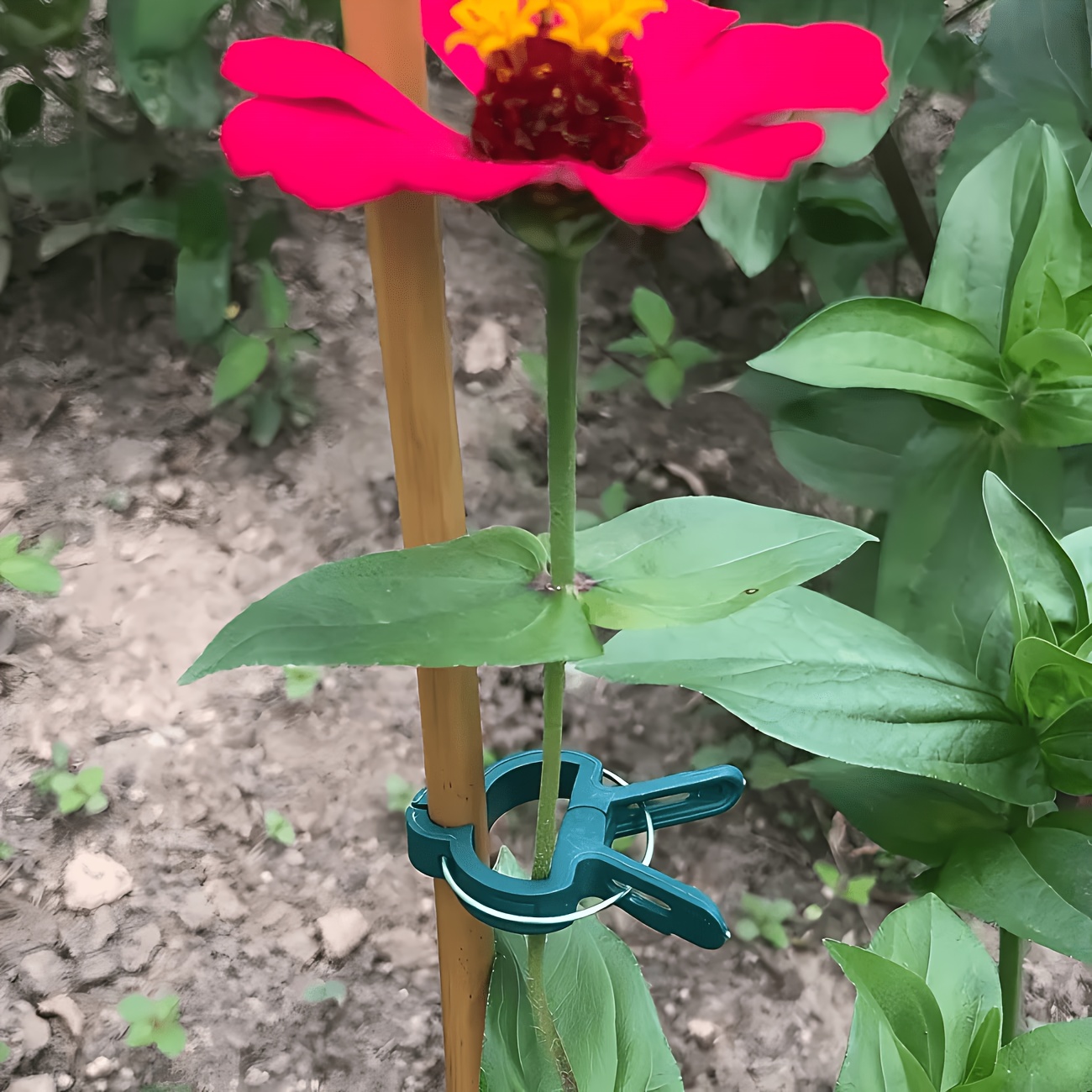 5PC Adjustable Plant Clips Lar - đánh giá và giá Gardening Tools Essential